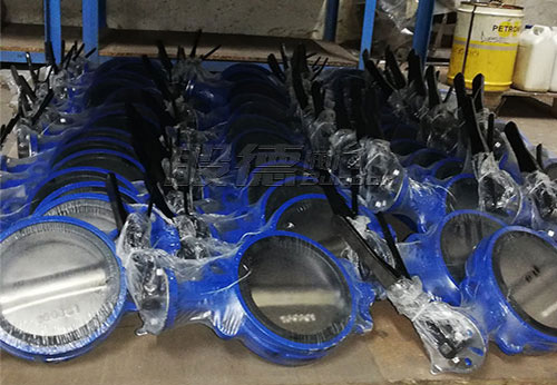 般德對夾蝶閥、刀閘閥等產品出口南非