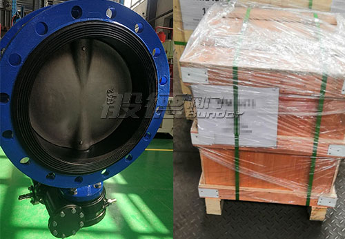 般德蝶閥和止回閥產品出口阿聯酋