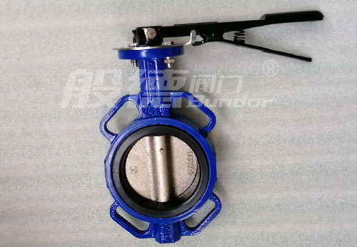 般德蝶閥、止回閥、閘閥產品出口柬埔寨