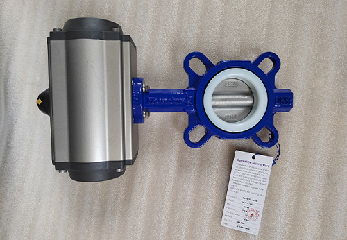 般德波紋管截止閥、對夾蝶閥產(chǎn)品出口印尼