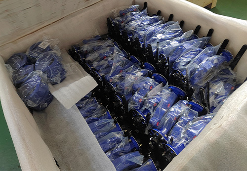 波蘭某商家采購般德蝶閥和止回閥產品